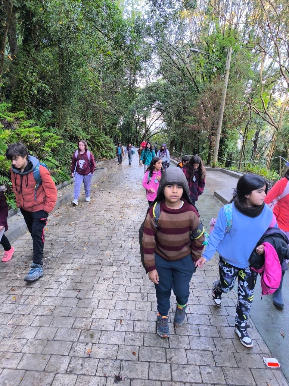Exploración en la naturaleza